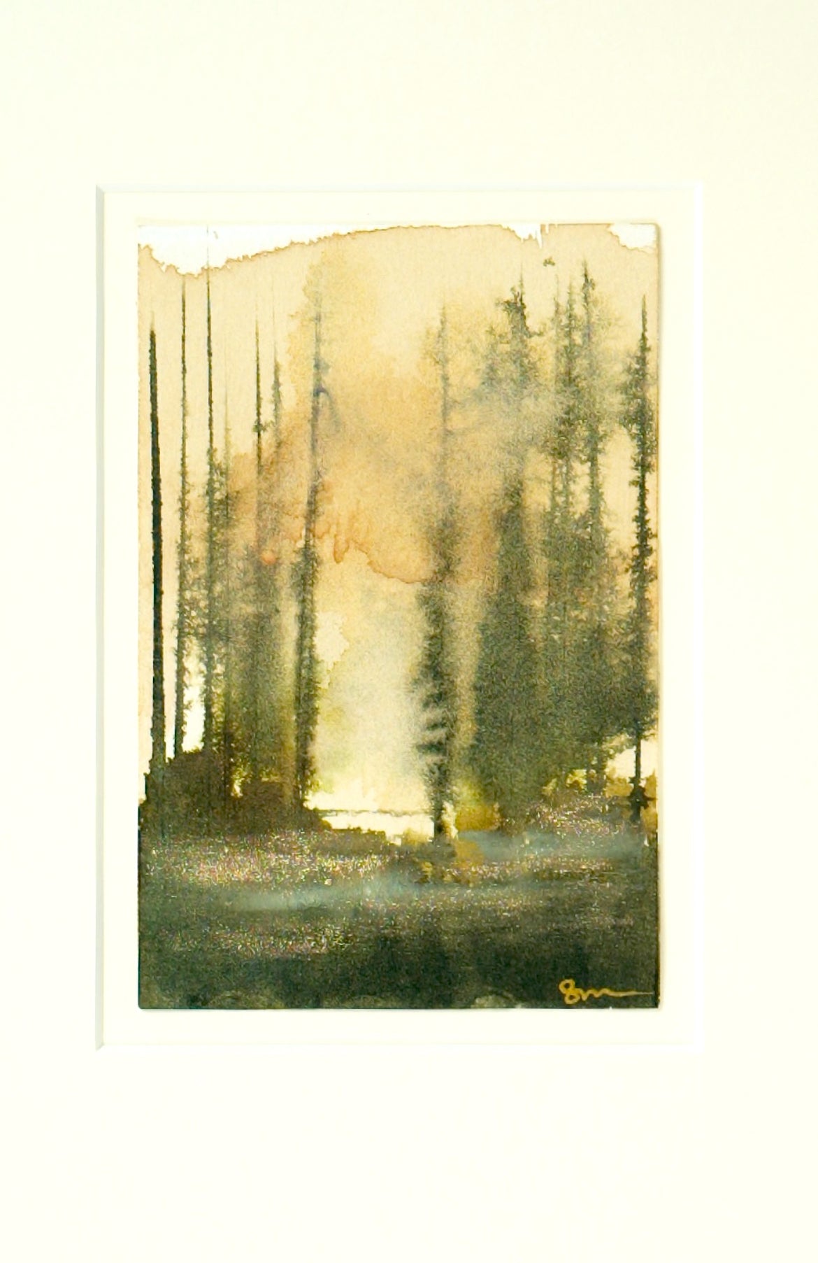 Dusk on the trail at Inverness 3