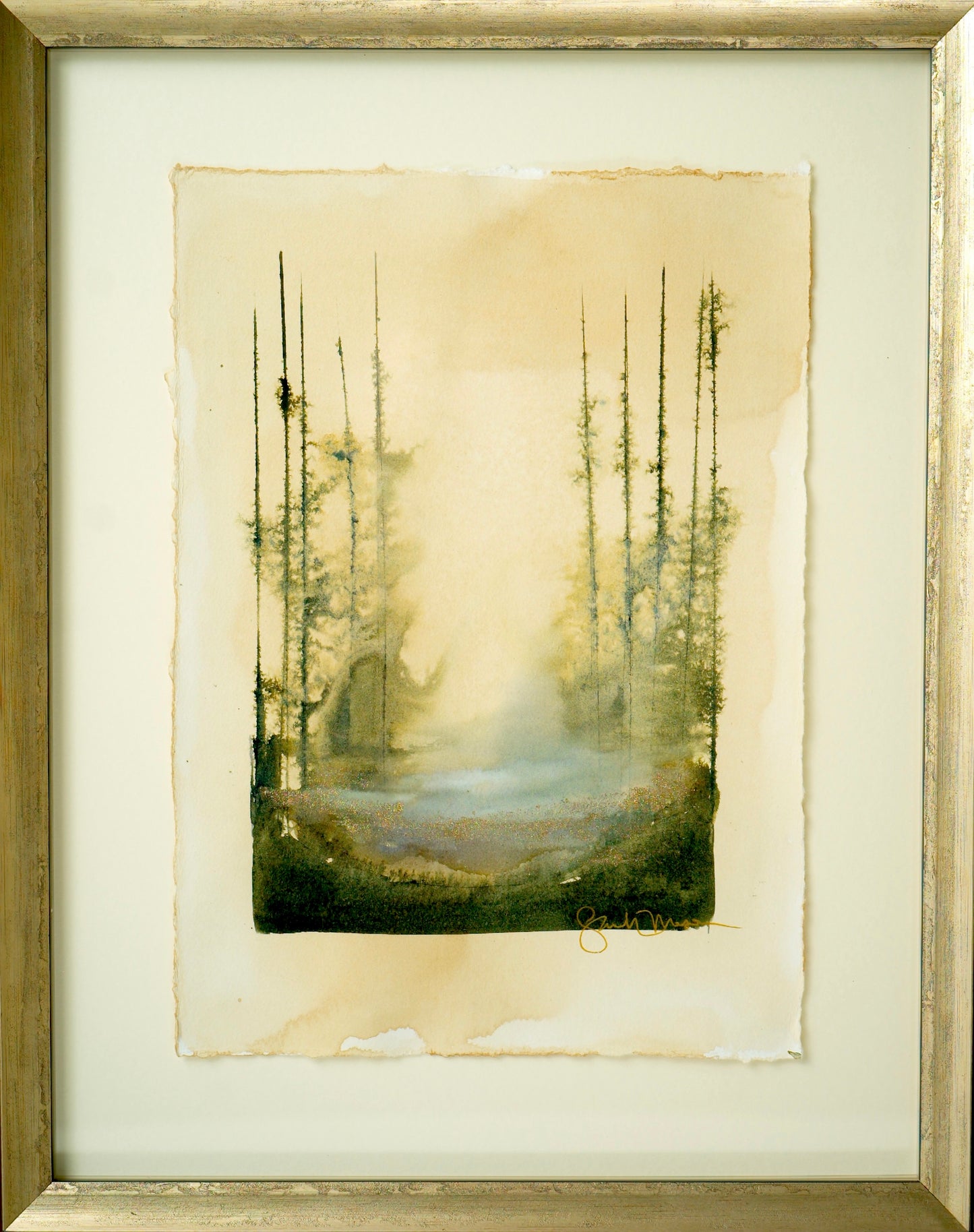 Misty morning at Colter Bay