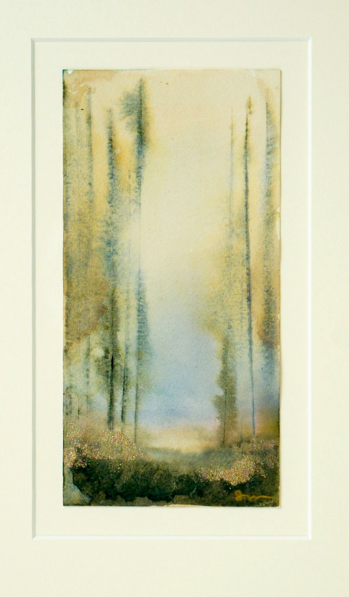 Morning at Two-Ocean Lake