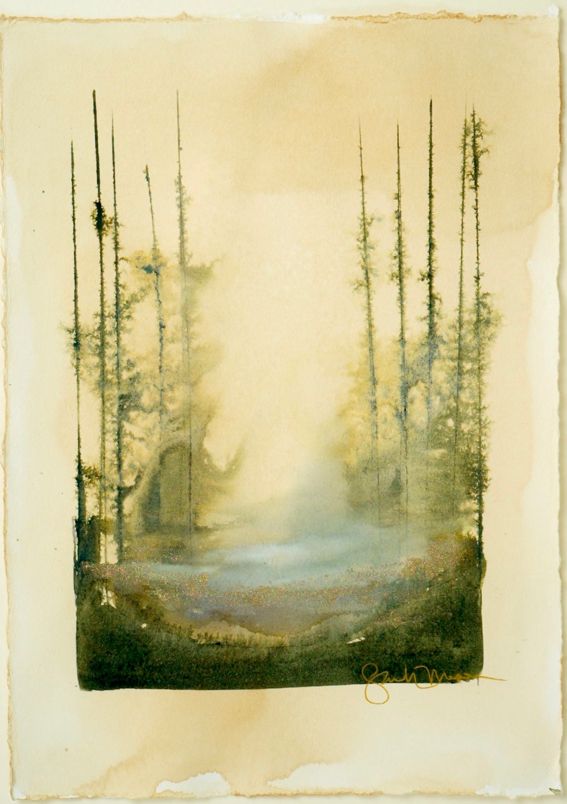 Misty morning at Colter Bay