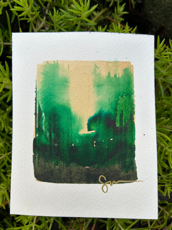 Tiny Forest 10