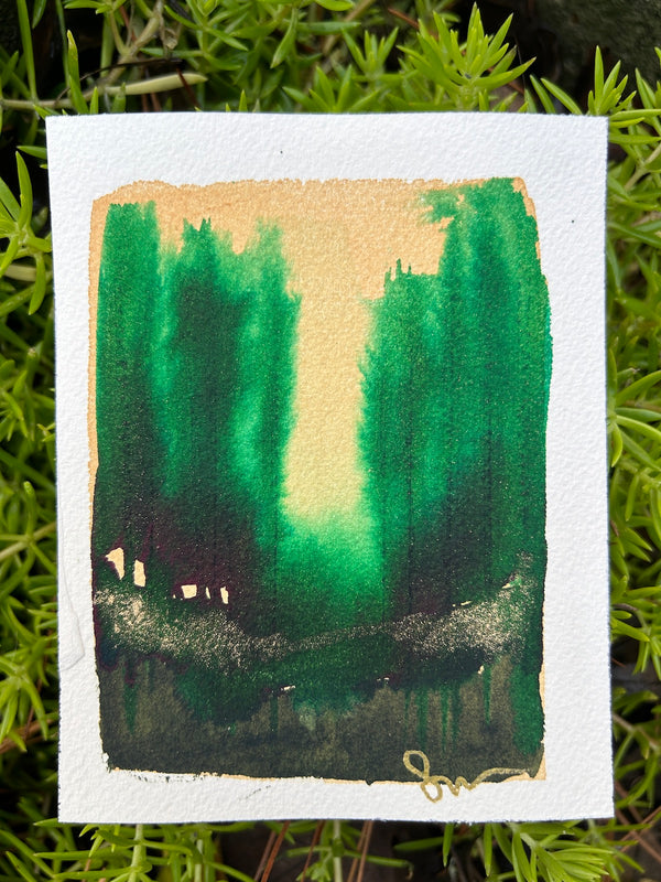 Tiny Forest 11