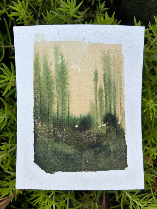Tiny Forest 12