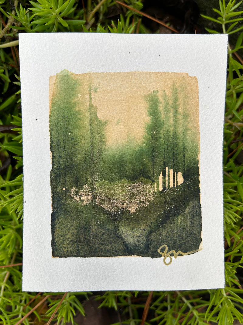 Tiny Forest 1