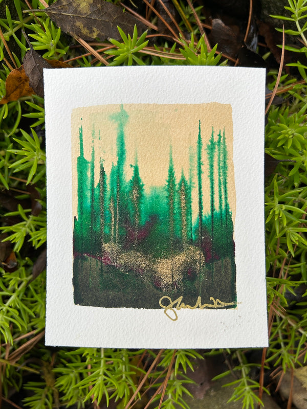 Tiny Forest 2
