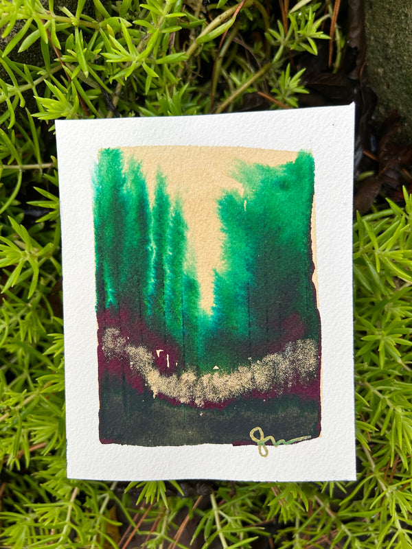 Tiny Forest 3