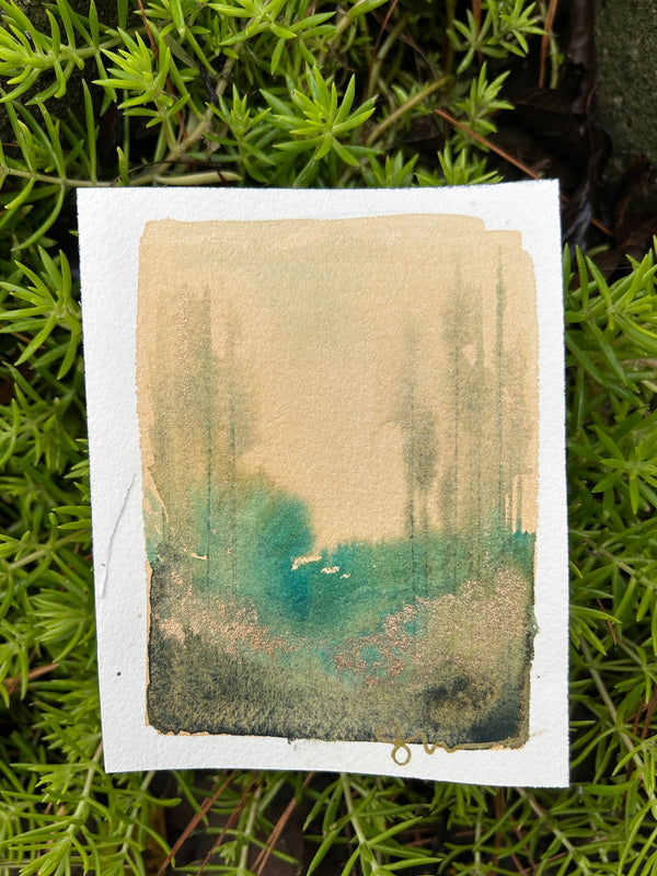 Tiny Forest 4
