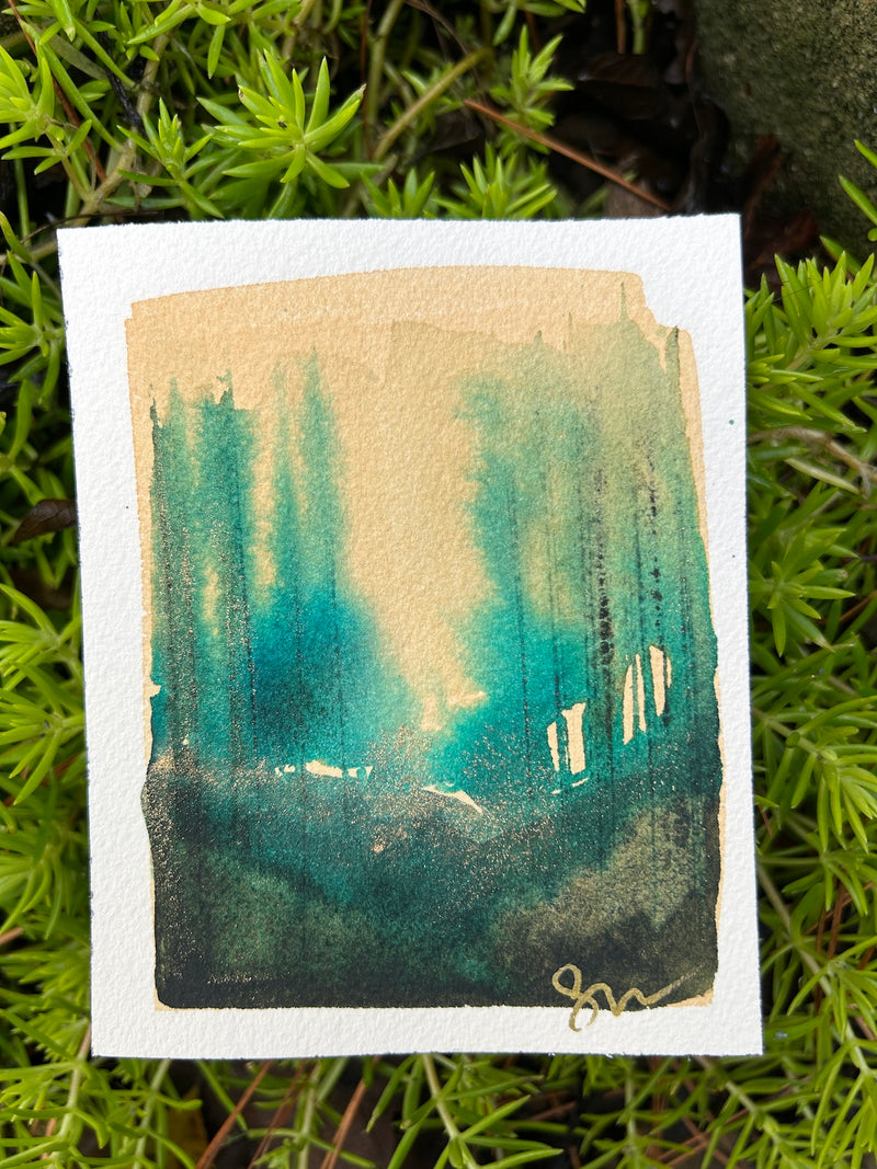 Tiny Forest 5