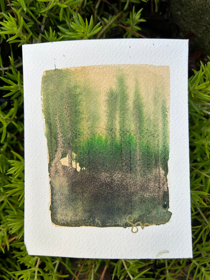 Tiny Forest 6