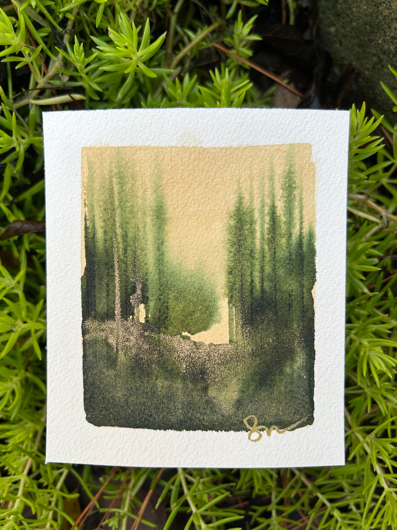 Tiny Forest 8