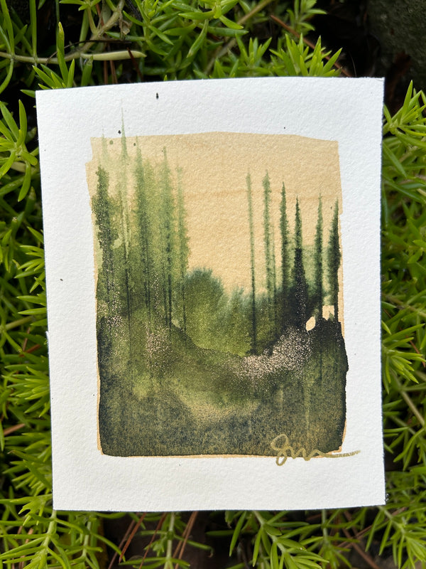 Tiny Forest 9